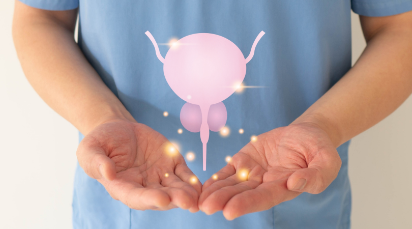 Pflanzliche Unterstützung für Blase und Prostata